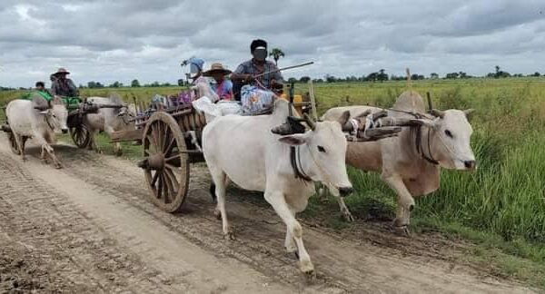 (ထွက်ပြေးတိမ်းရှောင်နေရသော ရွာသူရွာသားများအား တွေ့ရစဥ်။ ဓာတ်ပုံ - ဒီပဲယင်းမြို့နယ်စစ်ရှောင်ထောက်ပံ့ရေး)
