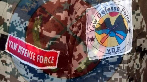 (YDF(ထီးလင်း)၏ ယူနီဖောင်းနှင့်တံဆိပ်အား ပြသထားစဥ်)