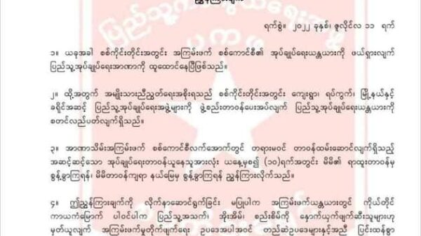 စစ်ကိုင်းခရိုင် PDF