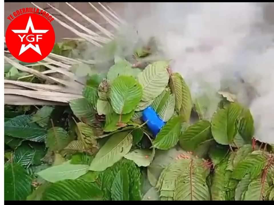 (ဖမ်းဆီးရမိသောမူးယစ်ဆေးဝါးများနှင့်ဆက်စပ်ပစ္စည်းများ၊မူးယစ်ဆေးဝါးများကိုမီးရှို့ဖျက်ဆီးနေမှု။ဓါတ်ပုံ-YGF)