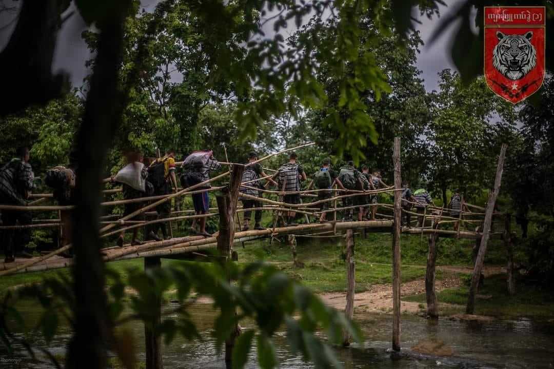ဓာတ်ပုံ - ကျားဖြူတပ်ခွဲ (၁)