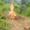 ဓာတ်ပုံ - မတူပီ CDF
