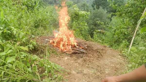 ဓာတ်ပုံ - မတူပီ CDF