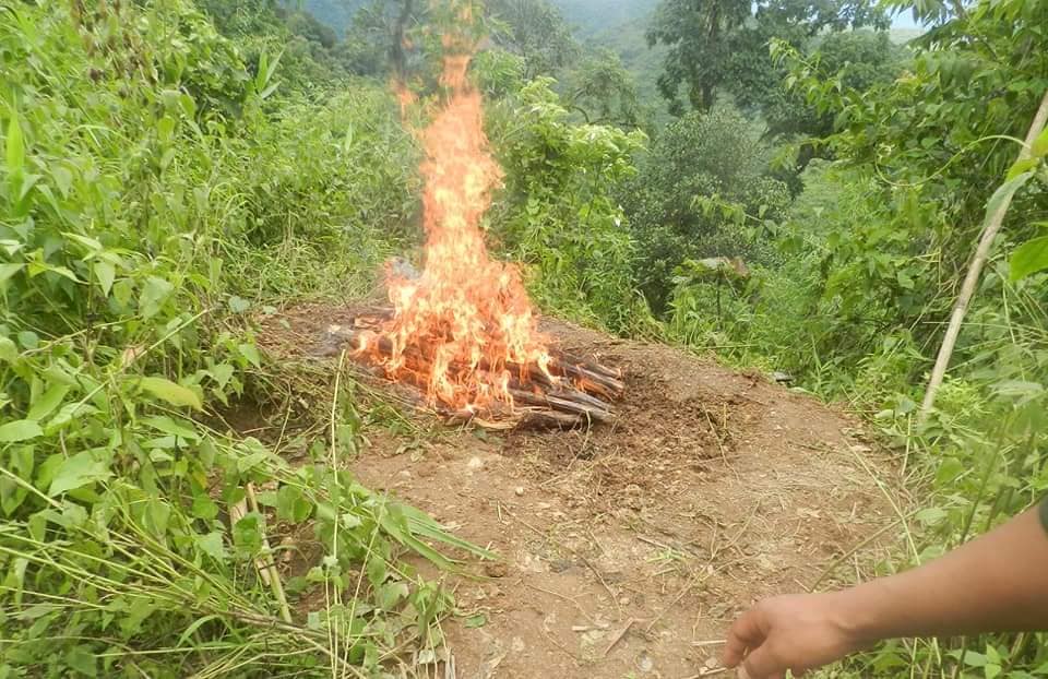 ဓာတ်ပုံ - မတူပီ CDF