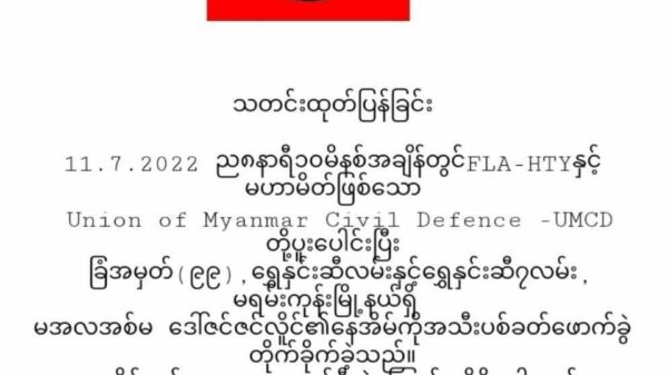Federal Liberation Army (HTY-Battlion)