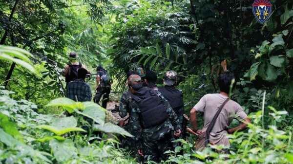 ဓာတ်ပုံ - Cobra Column