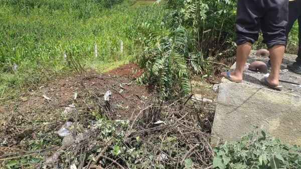 (လက်နက်ကြီး ကျရောက်ပေါက်ကွဲခဲ့သည့် နေရာအချို့အား တွေ့ရစဥ်၊ ဓာတ်ပုံ KNDF B-08)
