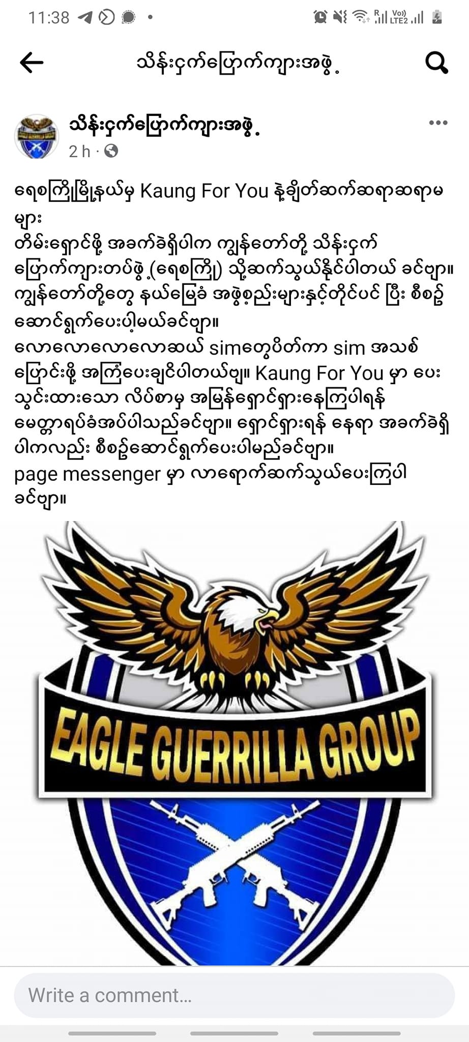 သိန်းငှက်ပြောက်ကျားတပ်ဖွဲ့