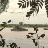 (ကနီနယ် ချင်းတွင်းမြစ်အတွင်း တွေ့ရသည့် အကြမ်းဖက်စစ်တပ်၏ ရေယာဥ်တစ်စီး။ ။ဓါတ်ပုံ-ချင်းတွင်းချစ်သူ)