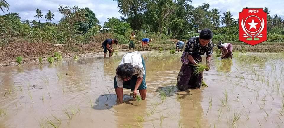 ဓာတ်ပုံ - ပခုက္ကူမြို့နယ်ပြည်သူ့ကာကွယ်ရေးတပ်ဖွဲ့