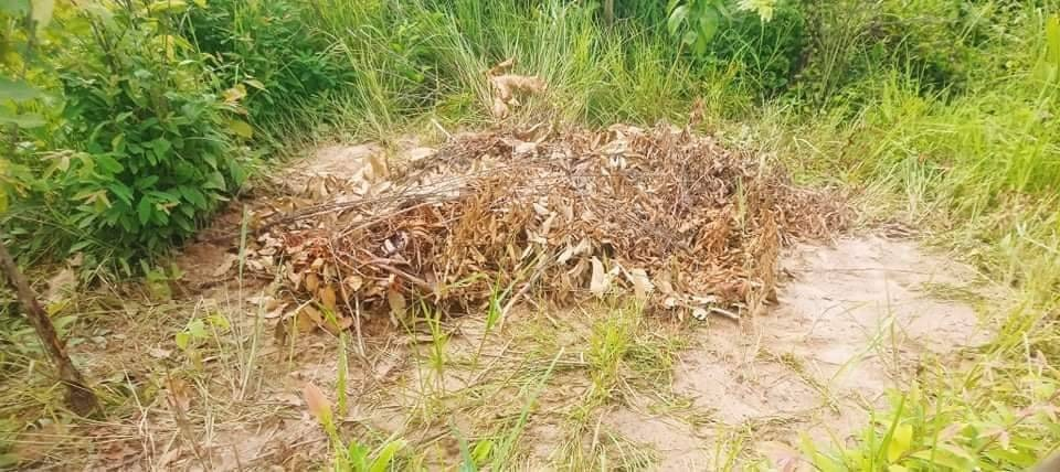 ဓာတ်ပုံ - ဇူလိုင် ၁၀ ရက်တိုက်ပွဲတွင် သေဆုံးခဲ့သော စစ်ကောင်စီတပ်သား တစ်ဦးအား စစ်ကောင်စီတပ်က ဖြစ်သလိုမြုပ်နှံထားစဥ်