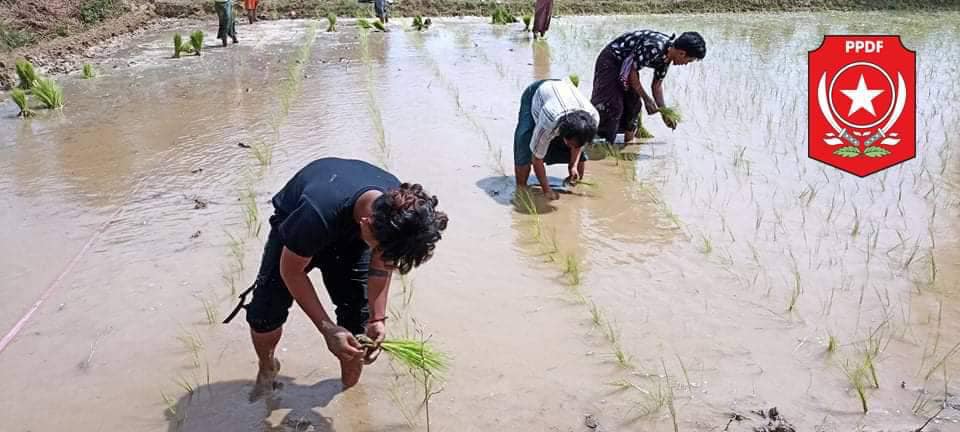 ဓာတ်ပုံ - ပခုက္ကူမြို့နယ်ပြည်သူ့ကာကွယ်ရေးတပ်ဖွဲ့