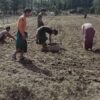 ဓာတ်ပုံ - ပခုက္ကူမြို့နယ်ပြည်သူ့ကာကွယ်ရေးတပ်ဖွဲ့