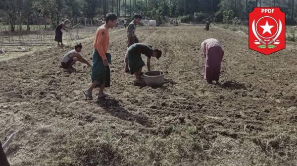ဓာတ်ပုံ - ပခုက္ကူမြို့နယ်ပြည်သူ့ကာကွယ်ရေးတပ်ဖွဲ့