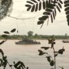 စစ်အုပ်စု​၏ သင်္ဘောအား တွေ့ရစဉ်