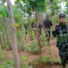 ကရင်နီအမျိုးသားများကာကွယ်ရေးတပ်(KNDF)
