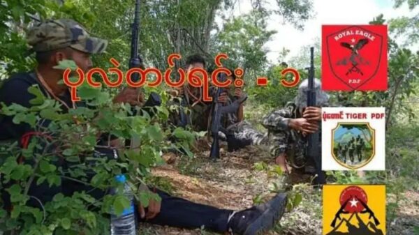 ပုလဲမြို့နယ်တွင် စစ်ကောင်စီစစ်ကြောင်းမိုင်းခွဲတိုက်ခိုက်ခံရပြီးနောက် ရွာတစ်ရွာကို မီးရှို့ဖျက်ဆီးသွား
