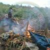 ဓာတ်ပုံ - TNLA