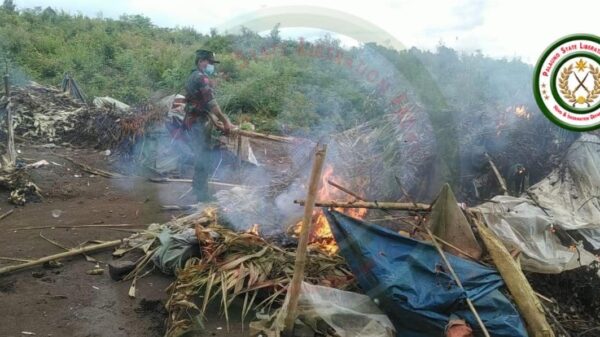 ဓာတ်ပုံ - TNLA