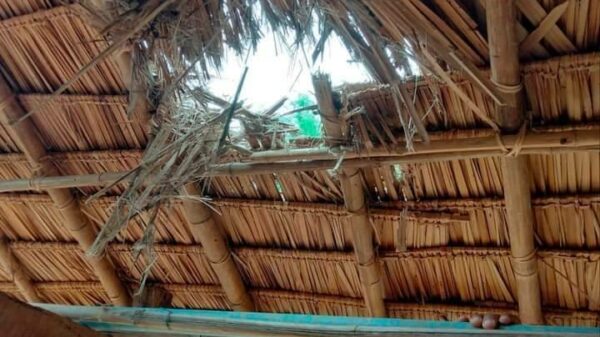 (အင်ဒေါင်းကျေးရွာတွင် လက်နက်ကြီးကျရောက်ပြီးနောက် တွေ့ရစဥ်။ ဓာတ်ပုံ - ဗိုလ်မြေသြဇာ)