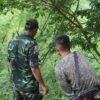 ဓာတ်ပုံ - ကော်ဘရာစစ်ကြောင်း