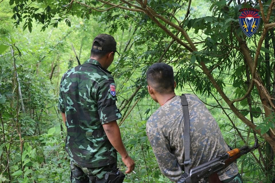 ဓာတ်ပုံ - ကော်ဘရာစစ်ကြောင်း
