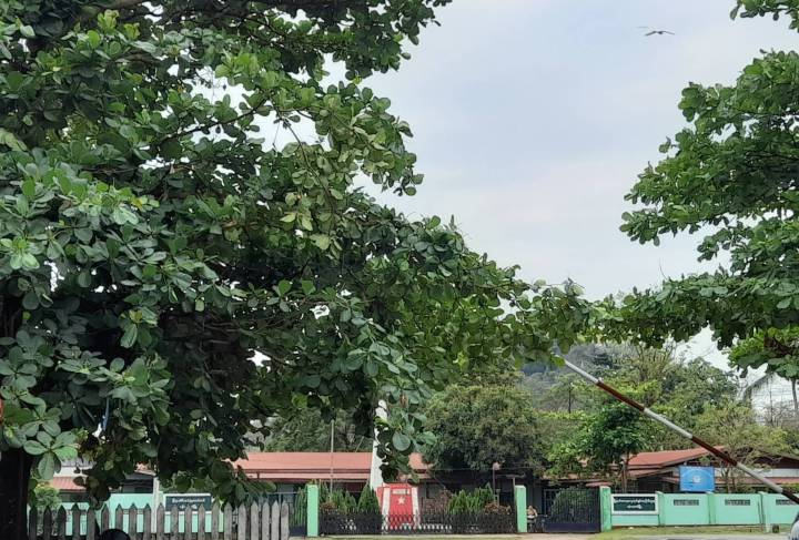 ဗန်းမောက်ထွေအုပ်ရုံးကို PDF ဝင်ရောက်တိုက်ခိုက်ရာ ဗိုလ်မှူး တစ်ဦးသေဟု ထုတ်ပြန်