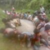 ဓာတ်ပုံ - TNLA
