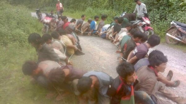 ဓာတ်ပုံ - TNLA