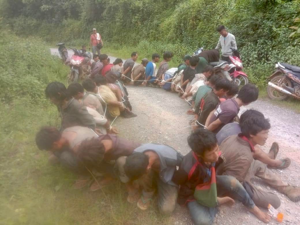 ဓာတ်ပုံ - TNLA