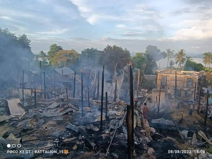 (ရွာသာရွာအား အကြမ်းဖက်စစ်တပ်က မီးရှို့ဖျက်ဆီးသွားပြီးနောက် တွေ့ရစဥ်။ ဓာတ်ပုံ-Tiger King)
