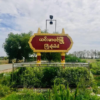 ယင်းမာပင်