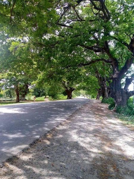 ရွှေဘို - မန္တလေးလမ်းမကြီးအား တွေ့ရစဥ်။ဓာတ်ပုံ-CJ