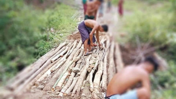 (ကျေးရွာချင်းဆက် တံတားတစ်ခုကို The Youth Force (Saw&Kyaukhtu) တပ်ဖွဲ့ဝင်ရဲဘော်များက ပြုလုပ်ပေးနေစဥ်၊ ဓာတ်ပုံ - The Youth Force (Saw&Kyaukhtu) )