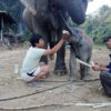 ဓာတ်ပုံ - KLG PDF