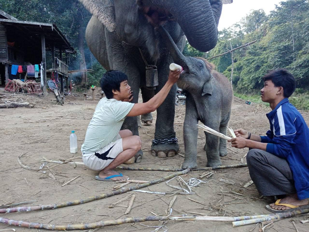 ဓာတ်ပုံ - KLG PDF