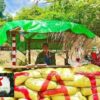 ကောလင်းအနောက်ခြမ်းတစ်နေရာတွင် ပကဖ စစ်ဆေးရေးဂိတ်အား ဇူလိုင်လအတွင်းက တွေ့ရစဥ်။ ဓာတ်ပုံ-KL Info