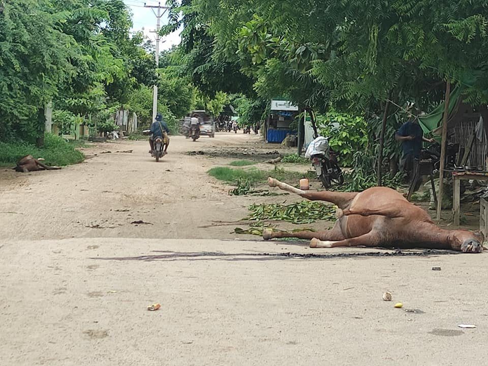 ယင်းမာပင်မြို့နယ် ရင်ပေါင်တိုင်ရွာကို စစ်ကောင်စီတပ် ဝင်ရောက်စီးနင်း ဖျက်ဆီးပြီးနောက် တွေ့ရစဥ်၊ ဓာတ်ပုံ – မြောက်ယမားတပ်ဖွဲ့