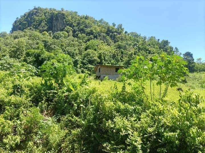 (စစ်ကောင်စီ​၏ ဝါဒဖြန့်ထားသော ရုပ်ပုံများအား တွေ့ရစဉ်)