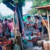 ဓာတ်ပုံ - CJ
