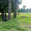 (MDFရဲဘော်များအား စစ်ဆင်ရေးတစ်ခုတွင် တွေ့ရစဥ်။ ဓာတ်ပုံ-MDF)