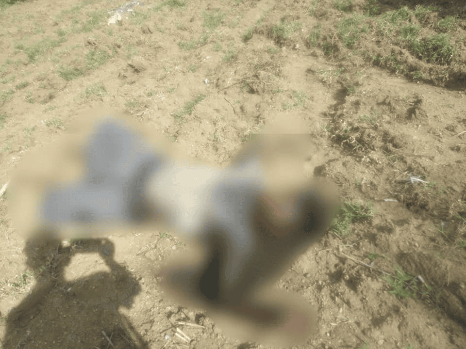 ယင်းမာပင်မြို့နယ် ရင်ပေါင်တိုင်ရွာကို စစ်ကောင်စီတပ် ဝင်ရောက်စီးနင်း ဖျက်ဆီးပြီးနောက် တွေ့ရစဥ်၊ ဓာတ်ပုံ – မြောက်ယမားတပ်ဖွဲ့