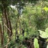 (Indaw Revolution - IR မှ ရဲဘော်များကို ရှေ့တန်းတစ်နေရာ၌ တွေ့ရစဥ်၊ ဓာတ်ပုံ - Indaw Revolution - IR)