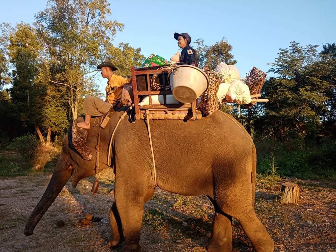 ဓာတ်ပုံ - KLG PDF