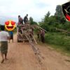 (မီးရှို့ခံရသည့်ကျေးရွာနေအိမ်အချို့အတွက် အိမ်ပြန်ဆောက်ရန်ကူညီနေသော Local Fighter Squadအဖွဲ့ဝင်များအား တွေ့ရစဉ်၊ ဓာတ်ပုံ-LFS)