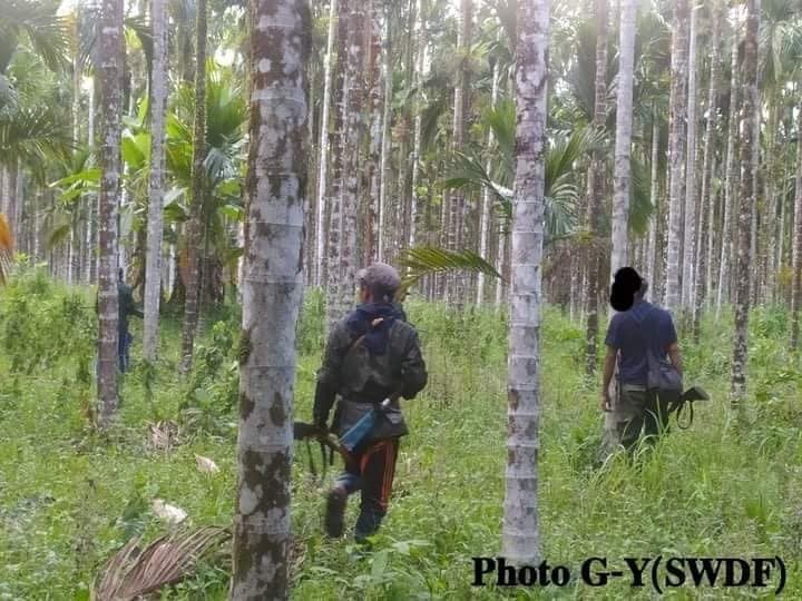 တောင်ပိုင်းသူရဲကောင်းများအင်အားစု(SWDF)မှ ရဲဘော်များအား တွေ့ရစဉ်၊ ဓာတ်ပုံ - G-Y