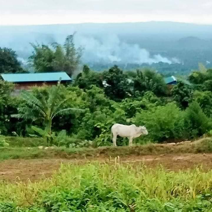 ဝယ်တောင်(မြောက်)ရွာအား စစ်ကောင်စီတပ်က မီးရှို့ဖျက်ဆီးနေသည်ကို တွေ့ရစဥ်၊ဓာတ်ပုံ-We Love Myaing