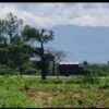 သြဂုတ် ၁၃ ရက်က ရန်ကုန်-မန္တလေးလမ်းဟောင်းပေါ်တွင် တိုက်ခိုက်ခံခဲ့ရသည့် သံချ​ပ်ကာသင်တန်းဆင်းများလိုက်ပါလာသော အကြမ်းဖက်စစ်တပ်ယာဥ်အား တွေ့ရစဥ်။ဓာတ်ပုံ-WTRF