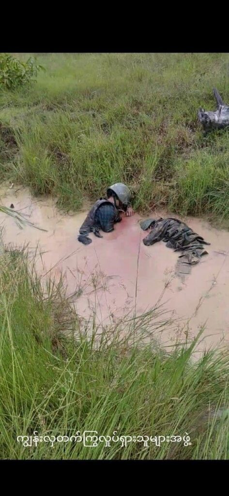 ဓာတ်ပုံ - ကျွန်းလှတက်ကြွလှုပ်ရှားသူများအဖွဲ့