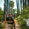 ဓာတ်ပုံ - Black Wolf